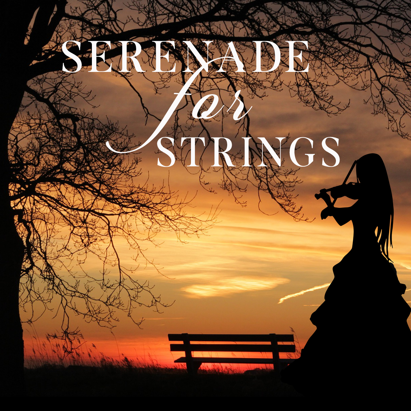 Serenades for Strings